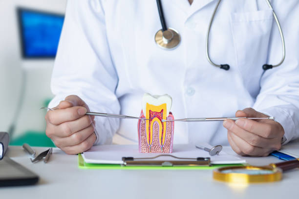 Best Emergency Denture Repair in Omro, WI